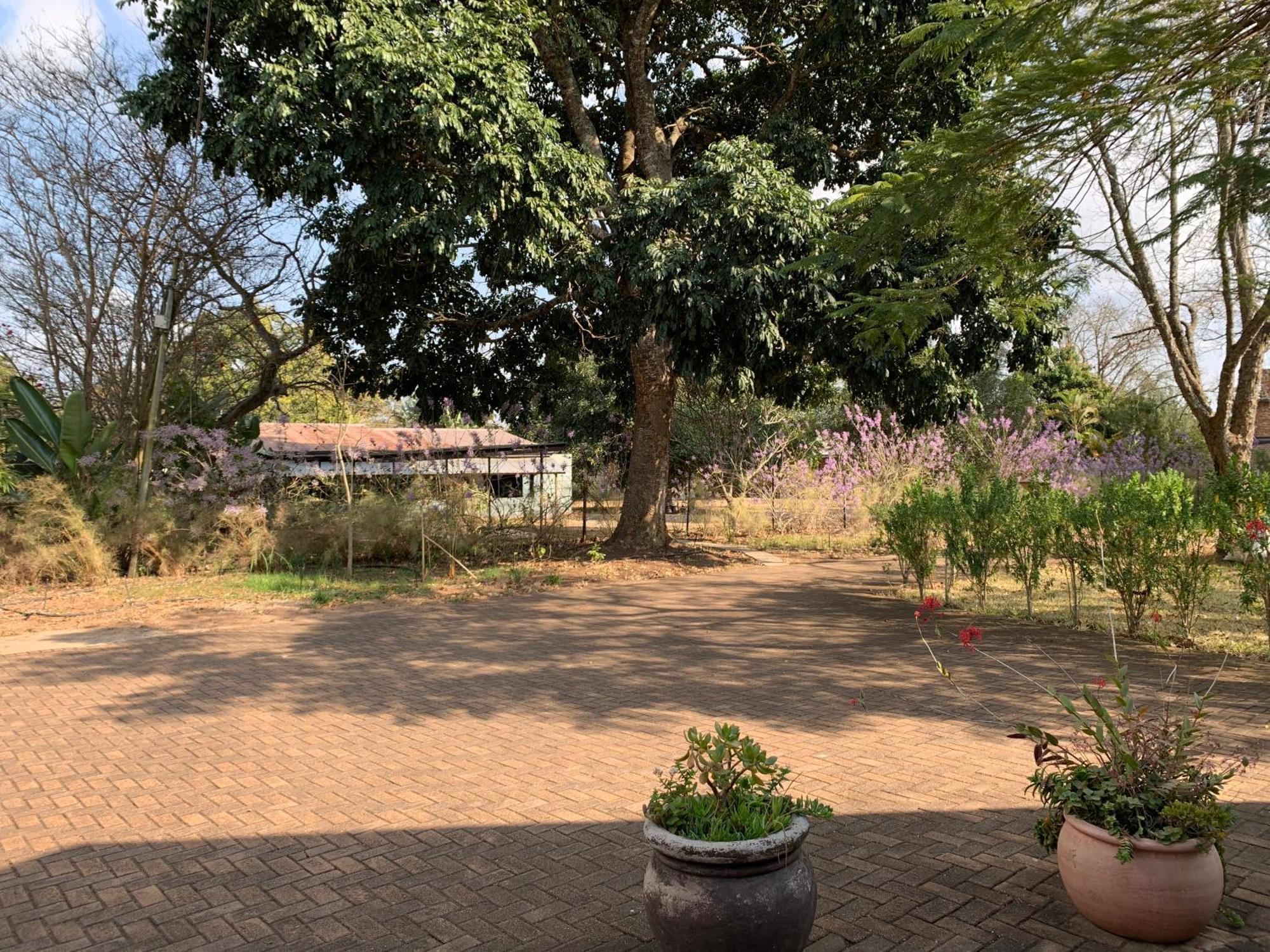 Ilanda Guest House White River Exterior foto